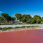 Nuits Salines Aigues-Mortes