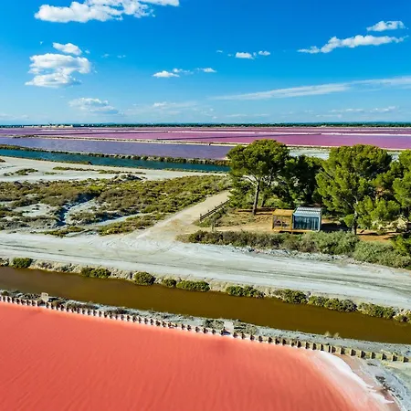 Nuits Salines *